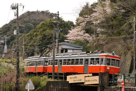箱根湯本駅付近・箱根登山鉄道と桜