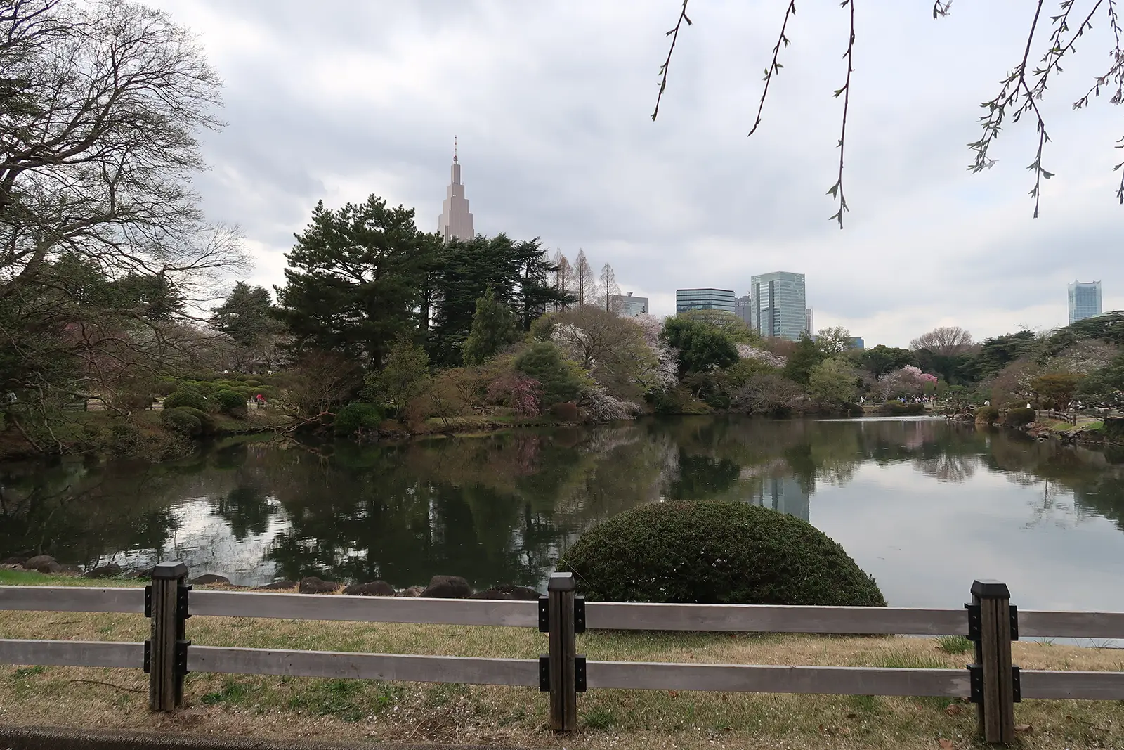 新宿御苑