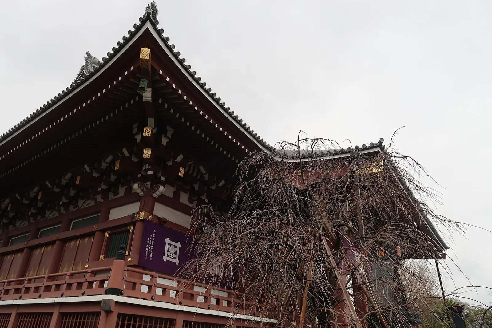 池上本門寺
