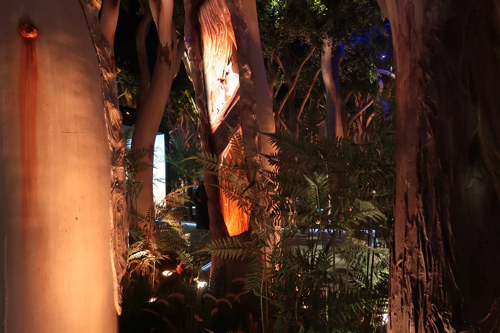 オーストラリア館にて